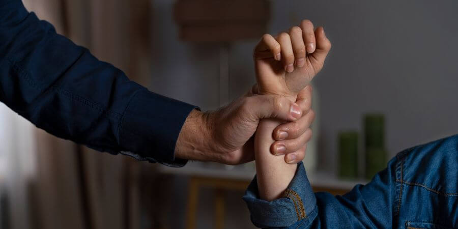 ¿Qué es el delito de violencia doméstica y en qué se diferencia de la violencia de género?